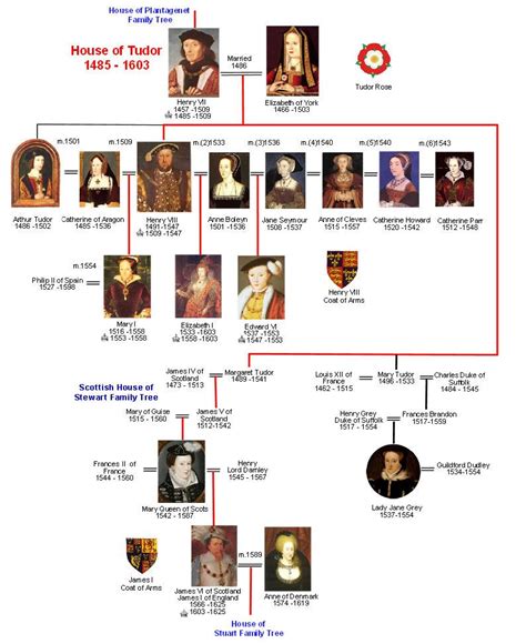 albero genealogico tudor|house of tudor timeline.